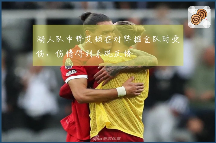 湖人队中锋艾顿在对阵掘金队时受伤，伤情得到乐观反馈
